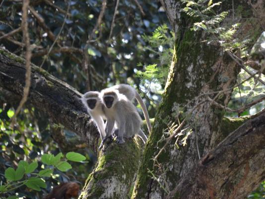 Wensleydale Guest Lodge - 254381
