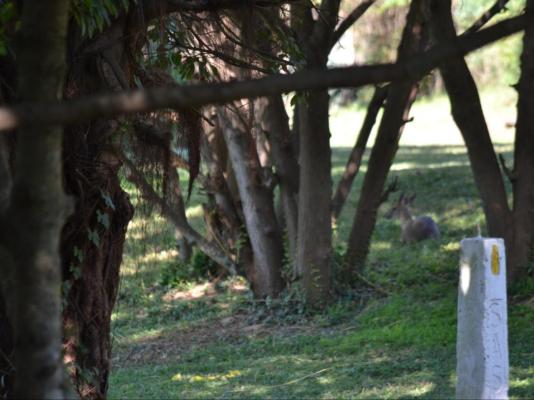 Wensleydale Guest Lodge - 254383