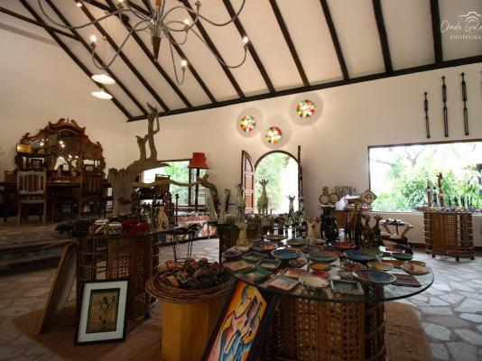 Mohlabetsi Safari Lodge - 254706