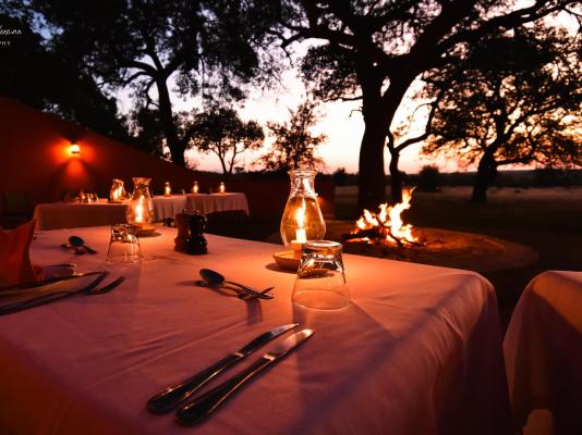 Mohlabetsi Safari Lodge - 254707