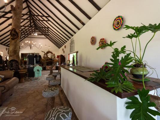 Mohlabetsi Safari Lodge - 254710