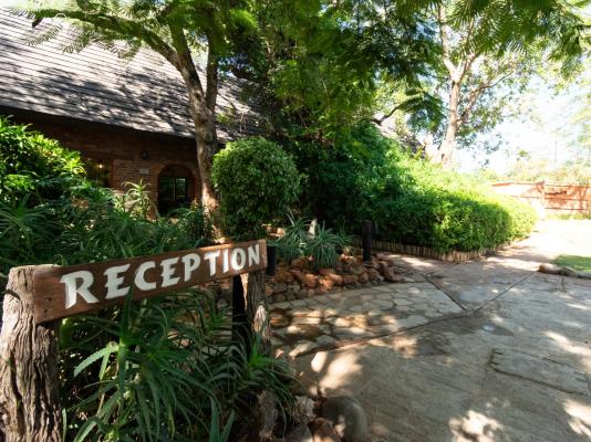 Mohlabetsi Safari Lodge - 254721