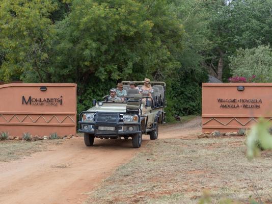 Mohlabetsi Safari Lodge - 254724