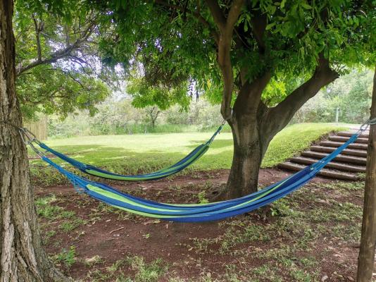 Mohlabetsi Safari Lodge - 254725