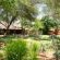 Mohlabetsi Safari Lodge - 254726