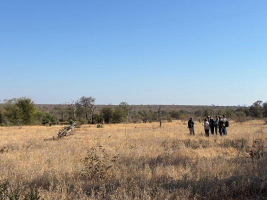 Mohlabetsi Safari Lodge - 254730