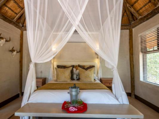 Mohlabetsi Safari Lodge - 254735
