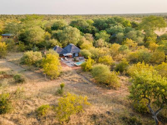 Mohlabetsi Safari Lodge - 254743