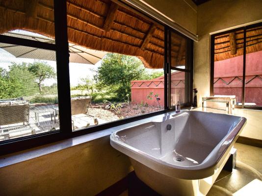 Mohlabetsi Safari Lodge - 254744