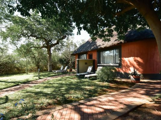 Mohlabetsi Safari Lodge - 254752