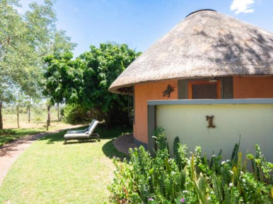 Mohlabetsi Safari Lodge - 254757