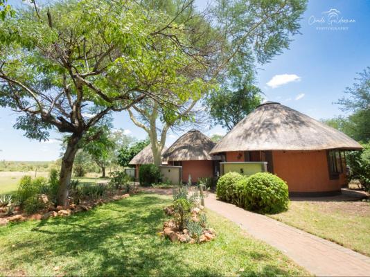 Mohlabetsi Safari Lodge - 254760