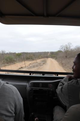 Franks Bush Camp - 254768