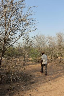 Franks Bush Camp - 254771