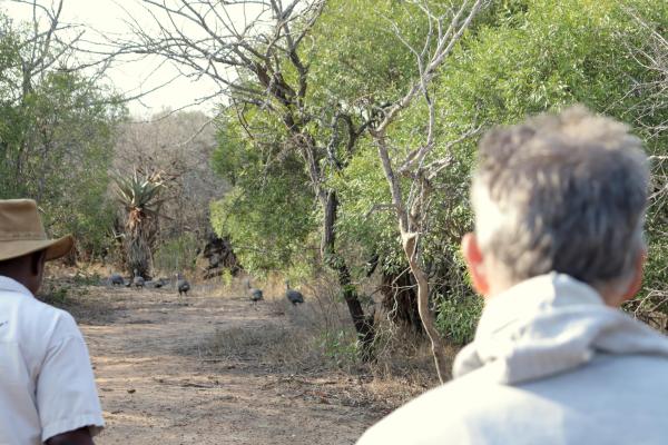 Franks Bush Camp - 254772