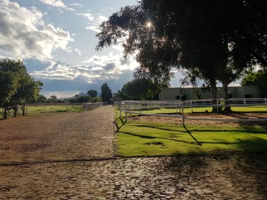 De Stallen Guest House - 254945