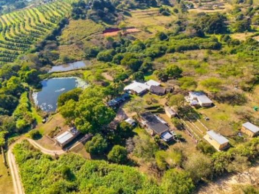 Nampaton Farm - Lake view