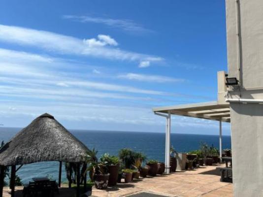 Whale's Tale - Neighbourhood