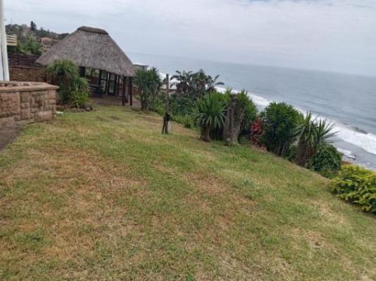 Whale's Tale - Garden