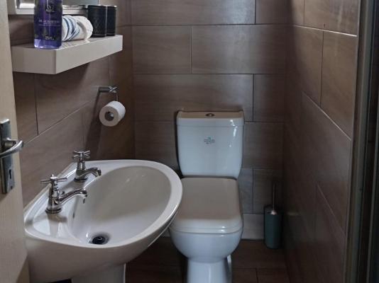 Whale's Tale - 255421