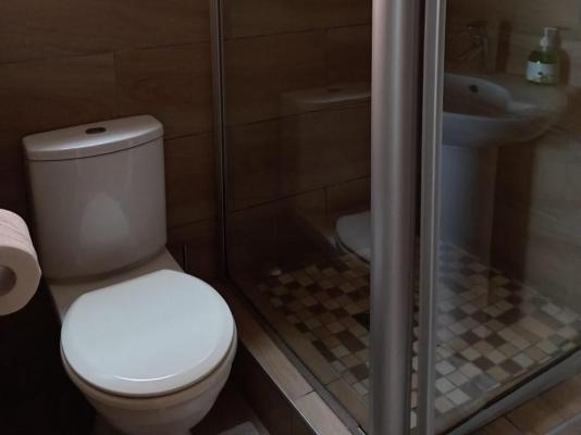 Whale's Tale - 255431