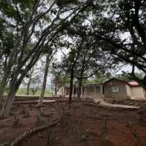 Zabini Lodge and Game Drive - Property / Building