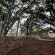 Zabini Lodge and Game Drive - Property / Building