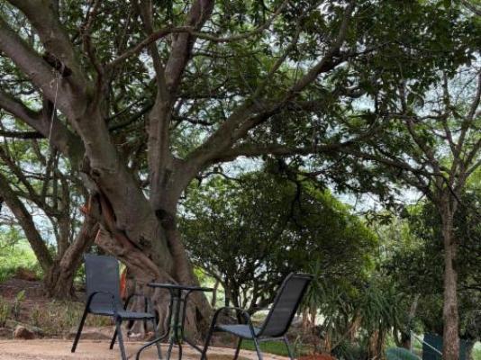 Zabini Lodge and Game Drive - Patio
