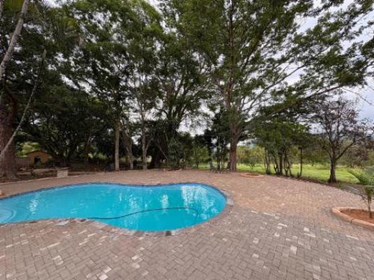 Zabini Lodge and Game Drive - Swimming pool
