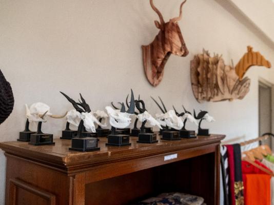 Zebra Nature Reserve - 255500