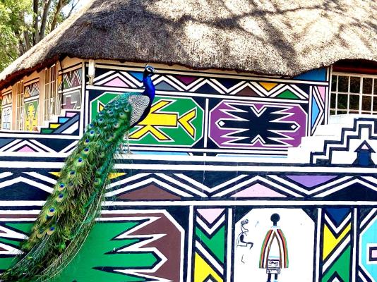 Zebra Nature Reserve - 255505