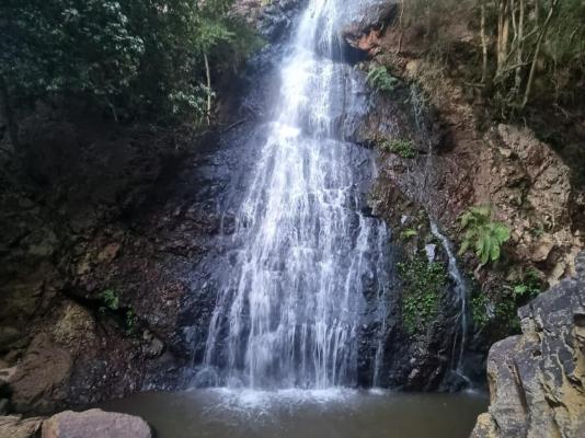 Waterfall Safari Lodge - 255824