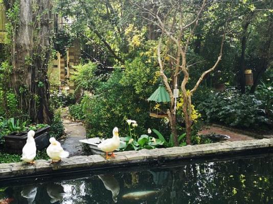 Cranberry Cottage - 255852