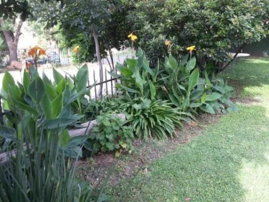 Boer en Brit Self-Catering Guest House - Garden view