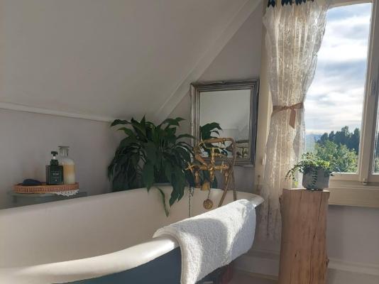 Kimi's Self Catering Guest Cottage - 256029