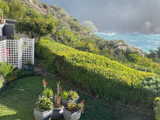 Phillip Villa - Garden