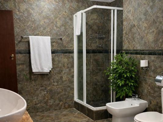 Aanmani Rose Guesthouse - 256159