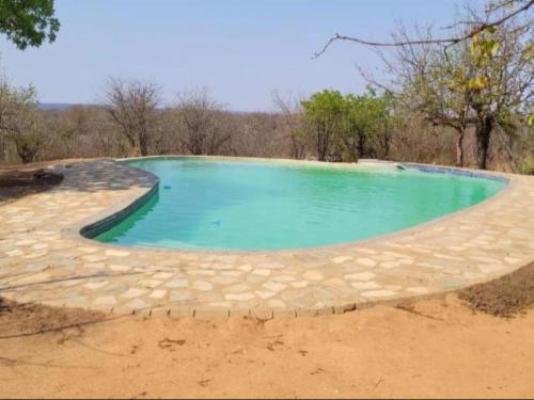 Phumula Bush Villa - Swimming pool