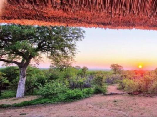 Phumula Bush Villa - View (from property/room)