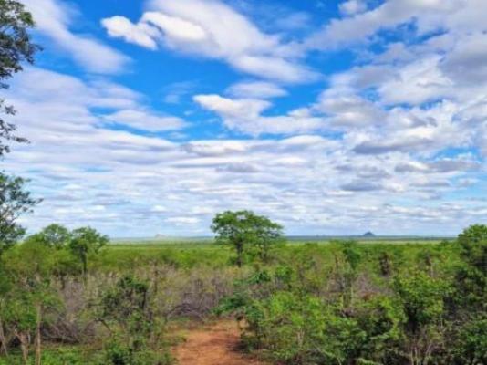 Phumula Bush Villa - Natural landscape