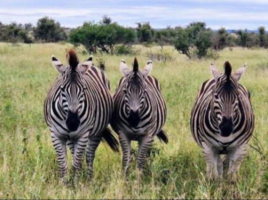 Phumula Bush Villa - Nearby landmark