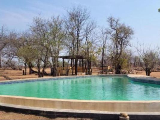 Phumula Bush Villa - Pool view