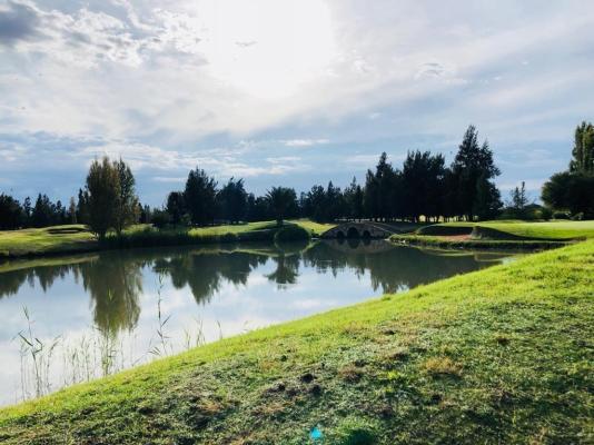 Cygnature Boutique Lodge - 256314