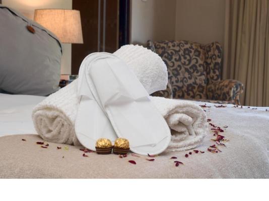 Cygnature Boutique Lodge - 256322