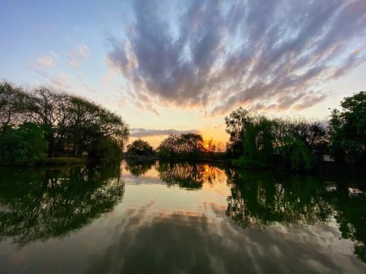 The Nugget Guest Lodge - 256327