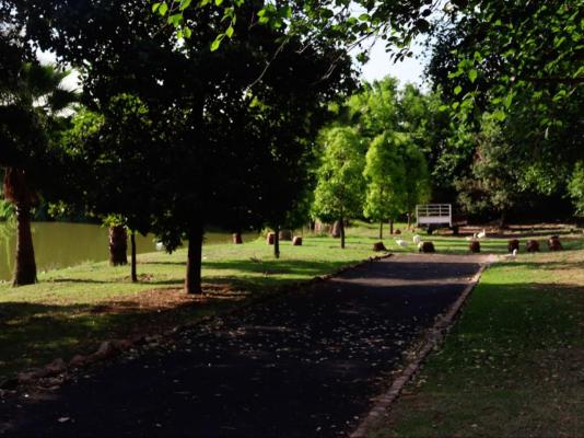 The Nugget Guest Lodge - 256329