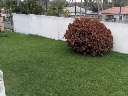 Kennington Lodge - 256479