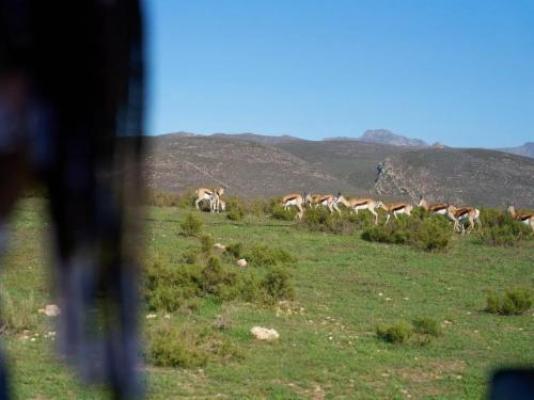 Goats Window Luxury Safari Lodge - Natural landscape