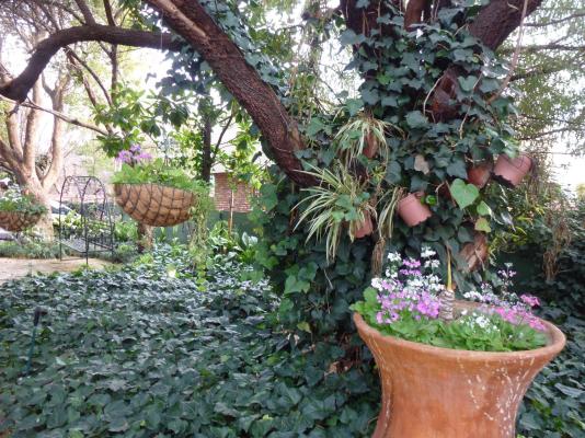 Anne's Place - 256600