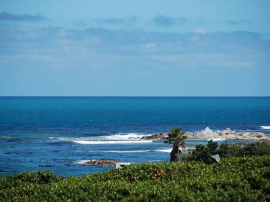 Great White Accommodation - 256639